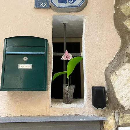 29 Palermo